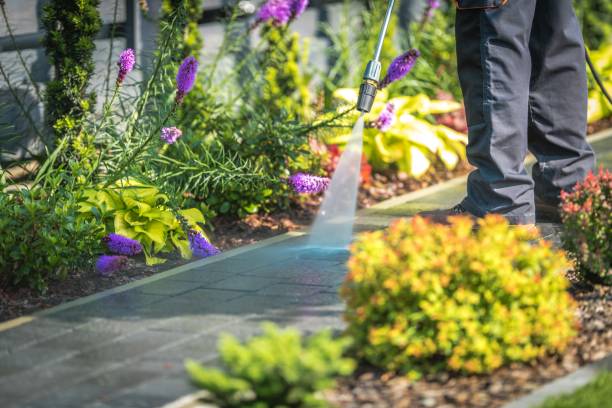 Best Restaurant Pressure Washing  in Val Verde, CA