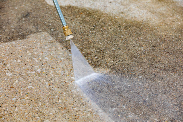 Best Pre-Holiday Cleaning  in Val Verde, CA